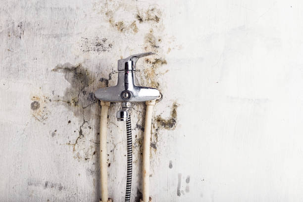 Water Damage Restoration in Plainview, MN