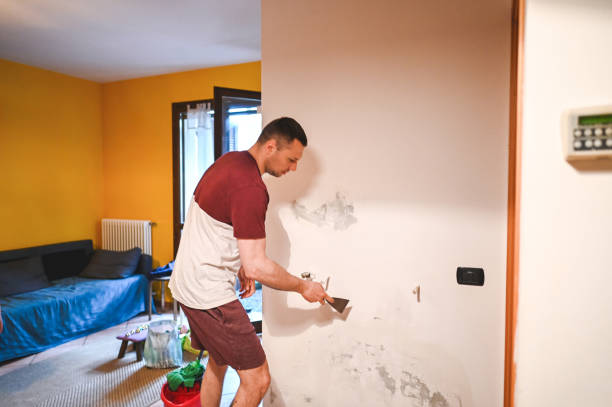Best Toxic Mold Removal  in Plainview, MN